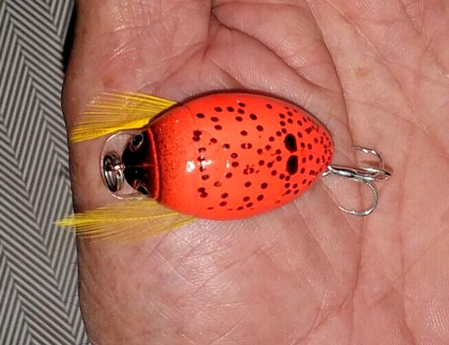 Prunanm water beetle - #g~prunanm, bug