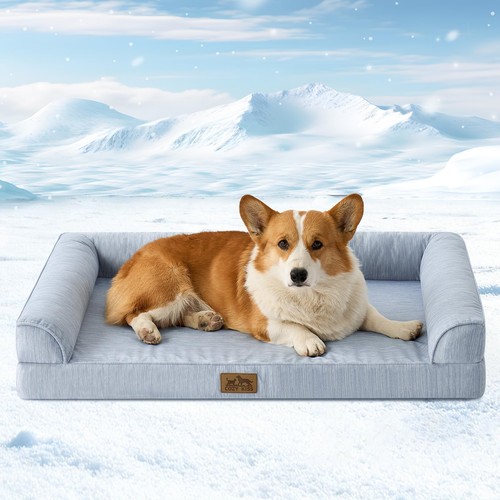 Cooling dog bed for medium - bed,