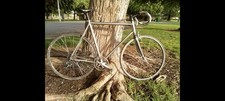 Used Seven Cycles Argen