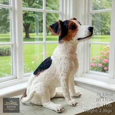 Adorable Jack Russell Dog