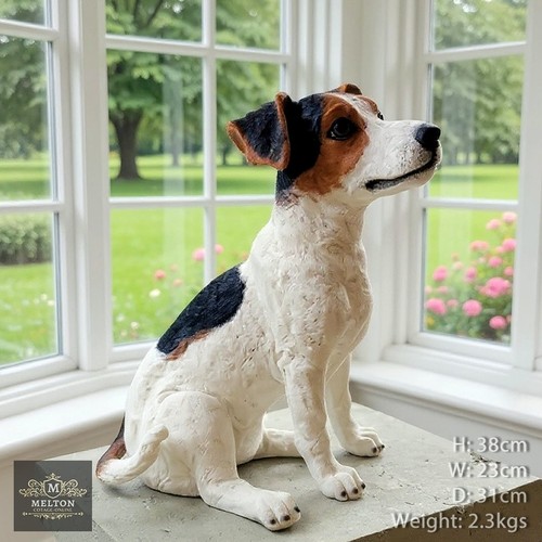 Adorable jack russell dog - russell,