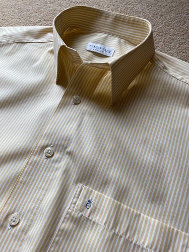 Eterna yellow bengal - bengal, stripe