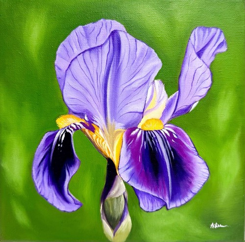 Purple iris original oil - purple,