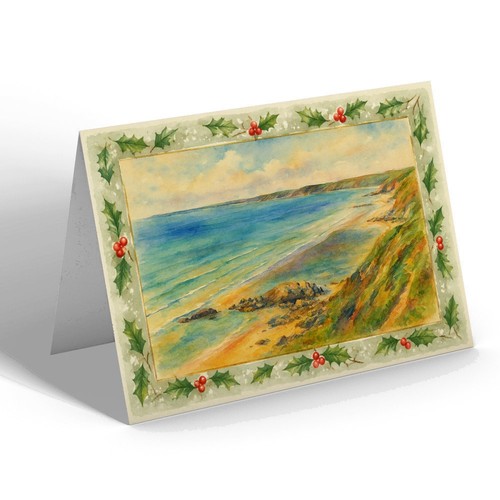 Xmas notelet whitsand bay - -,