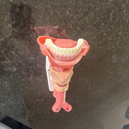 Laerdal airway demonstration - airway,