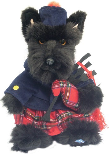 Scottish terrier teddy scottie - scottish,