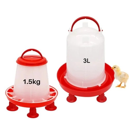 Chicken poultry feeder - feeder, drinker