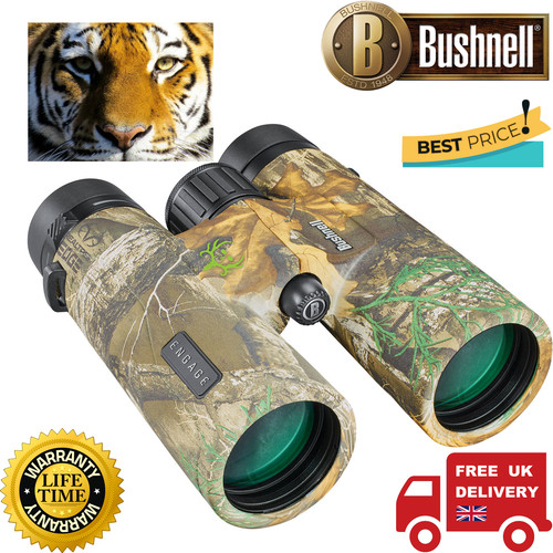 Bushnell 10x42 bone - 10x42, collector