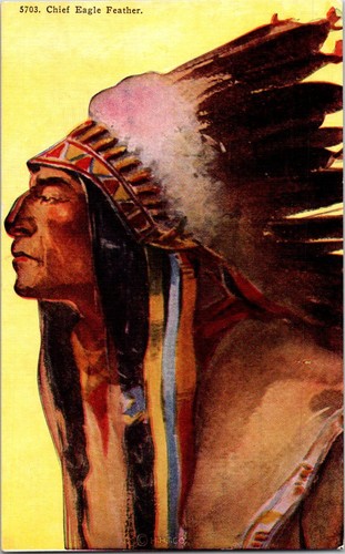 Vintage chief eagle - vintage,