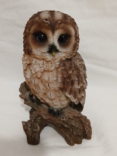 Tawny owl lifelike resin - tawny,