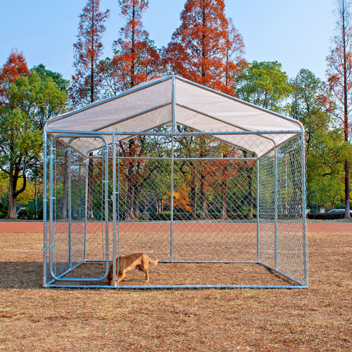 10x10ft large outdoor dog - large,