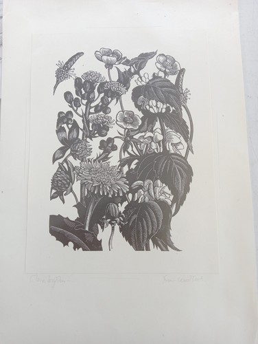 Clare leighton flora woodblock - leighton,