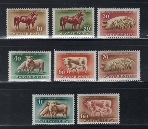 Hungary 1951 increase - hungary,