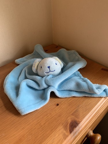 Pure baby blue teddy bear - baby,