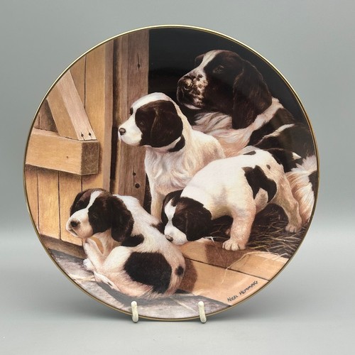 Franklin mint follow - mint,
