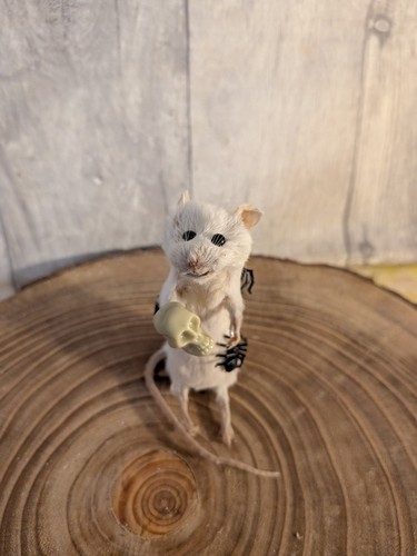Bad taxidermy mouse - bad,