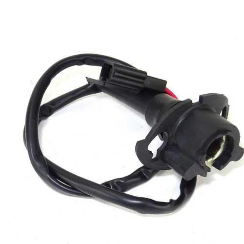 License plate light holder - plate,