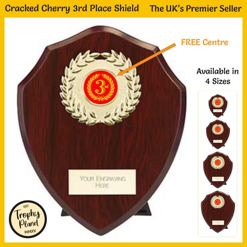 3rd place shield trophy - 3rd,