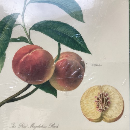 Vintage placemats fruit - placemats,