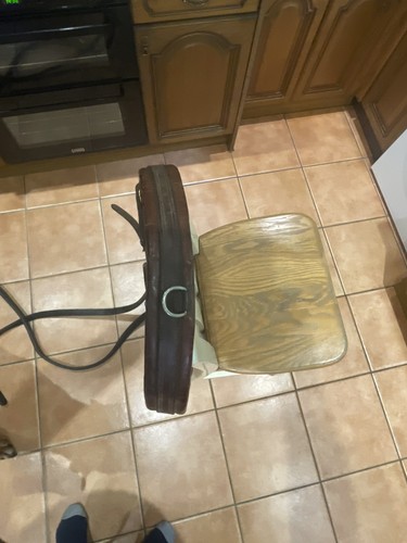Old working horse harness - working,