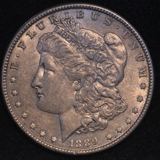USA Morgan Dollar 1889