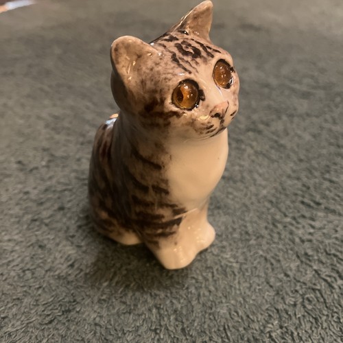 Winstanley sitting tabby - winstanley,