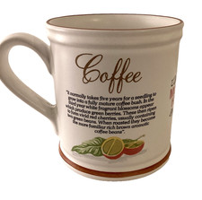 Maxwell House Coffee Mug  25th Anniversary 1979 Denby Cup Mug