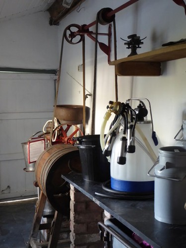 Photo old hall farm dairy - -,