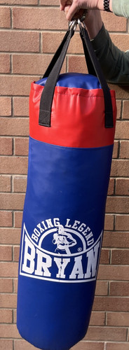 Bryan punch bag with hanging - bag,