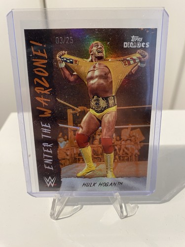 Hulk hogan enter the - hulk,
