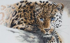 Anchor Counted Cross Stitch Kit Maia Collection Rare Beauty