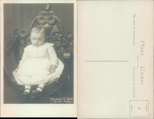 Portrait child on an - child,