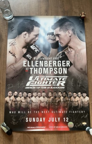 Ufc tuf finale - tuf, ellenberger