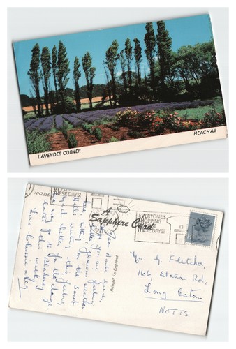 Postcard lavender corner - postcard,