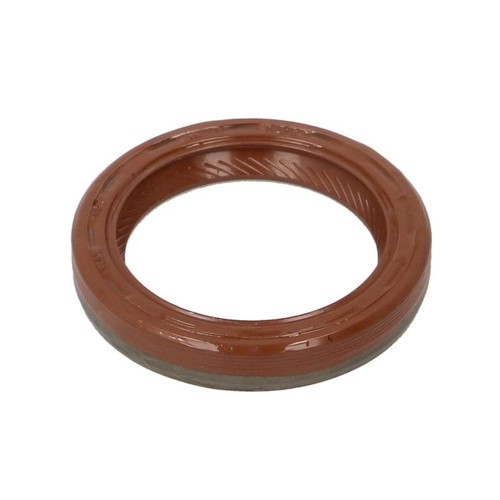 Engine leak stopper - 1x,