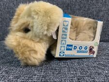 The Dog Collection NORFOLK TERRIER  Dog In Box 5”