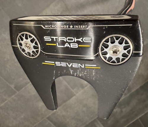 Odyssey stroke lab - lab, seven