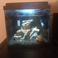 Aquatown 15L Aquarium Fish