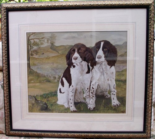 Watercolour english springer - watercolour,