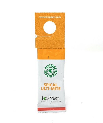 Spider mite killer sachets - spider,