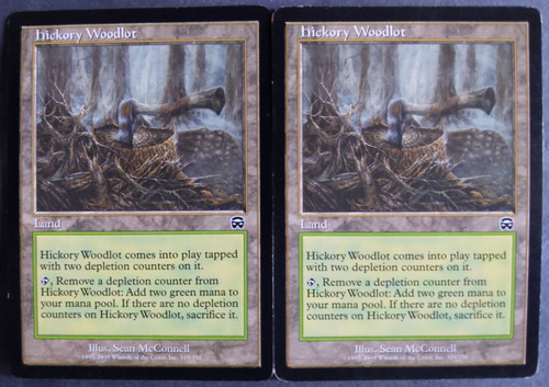 Mtg hickory woodlot - hickory, lot