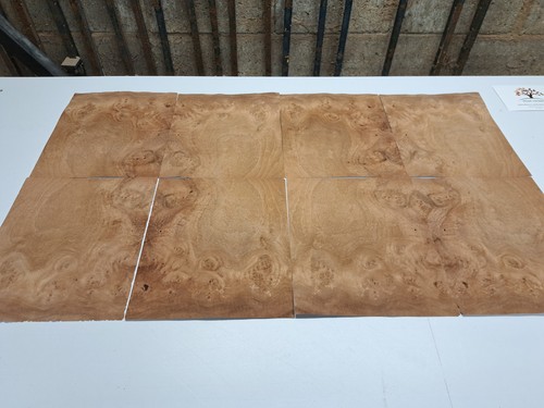 Burr walnut wood - burr, veneer