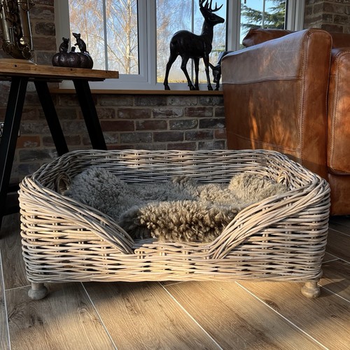 Large layered weave wicker - weave, dog