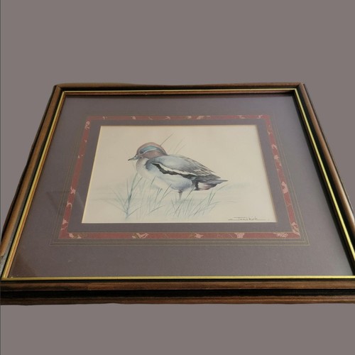 Joel kirk green - winged, teal