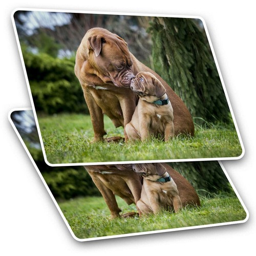 Rectangle stickers cm - stickers,