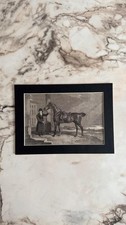 Steel engraving print saddled