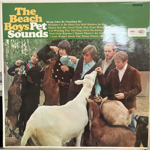 The beach boys pet - beach,