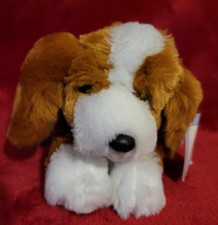 King Charles Spaniel Brown &