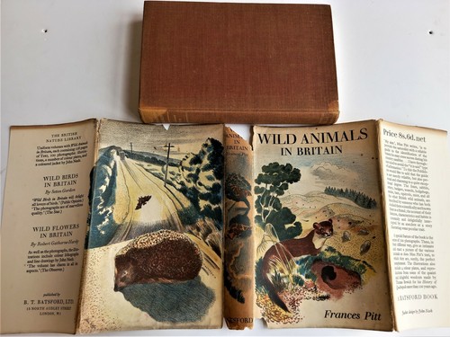 Wild animals britain - wild,