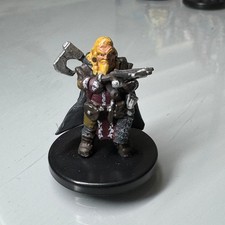 Pathfinder D&D Miniatures Rise